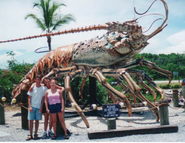 Lobster.jpg (34452 bytes)